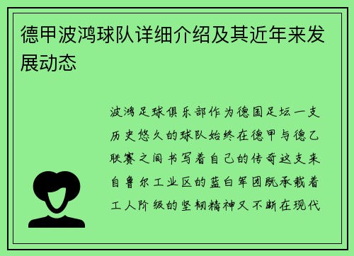 德甲波鸿球队详细介绍及其近年来发展动态
